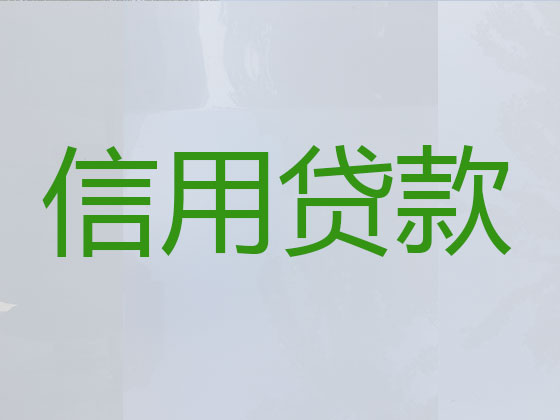 漳州贷款中介公司-抵押担保贷款